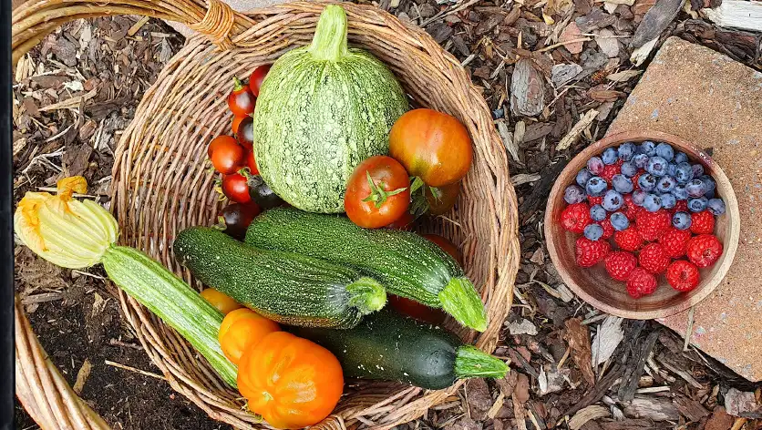 7 slimme tips voor een kleine moestuin op je veranda